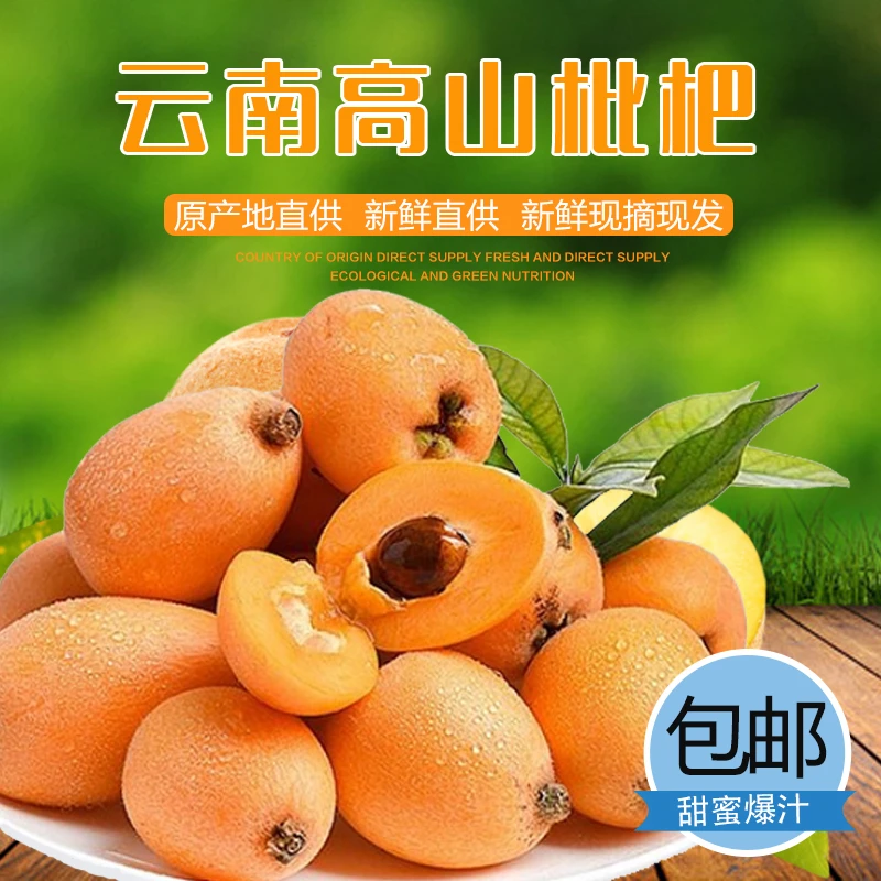 【新店半价】正宗云南蒙自长虹枇杷果现摘应季新鲜水果5斤3斤1斤