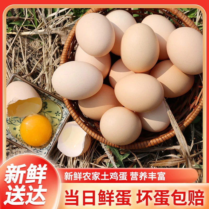 【福利土鸡蛋】农家散养土鸡蛋新鲜土鸡蛋虫草鸡蛋健康营养好吃/4枚