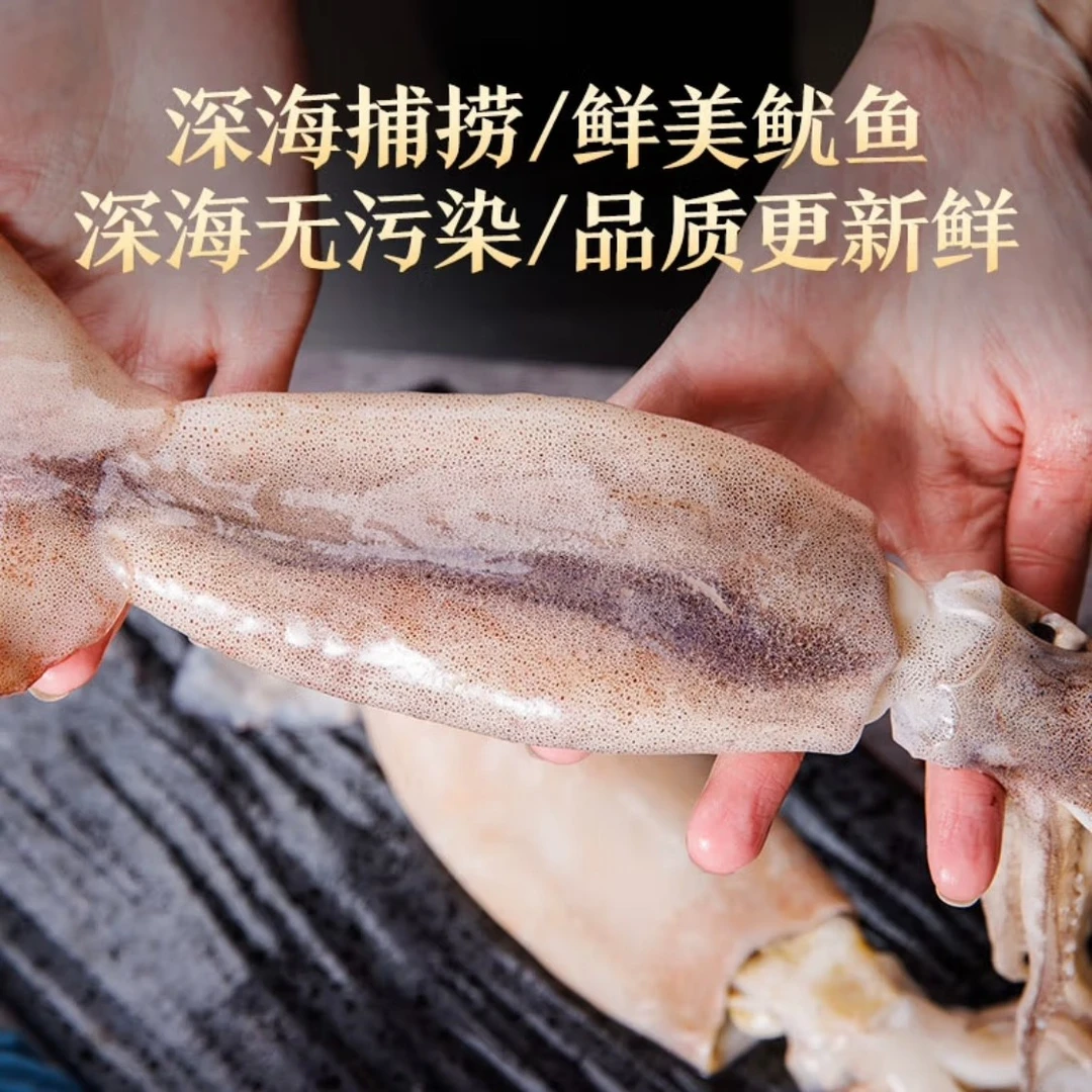 鲜冻大鱿鱼净重2.5斤左右锁鲜发货