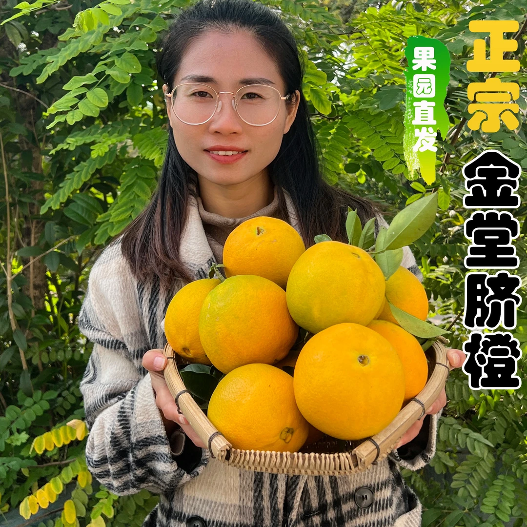 正宗四川金堂脐橙高山中国橙子现摘不打蜡当季新鲜橙子果园直发