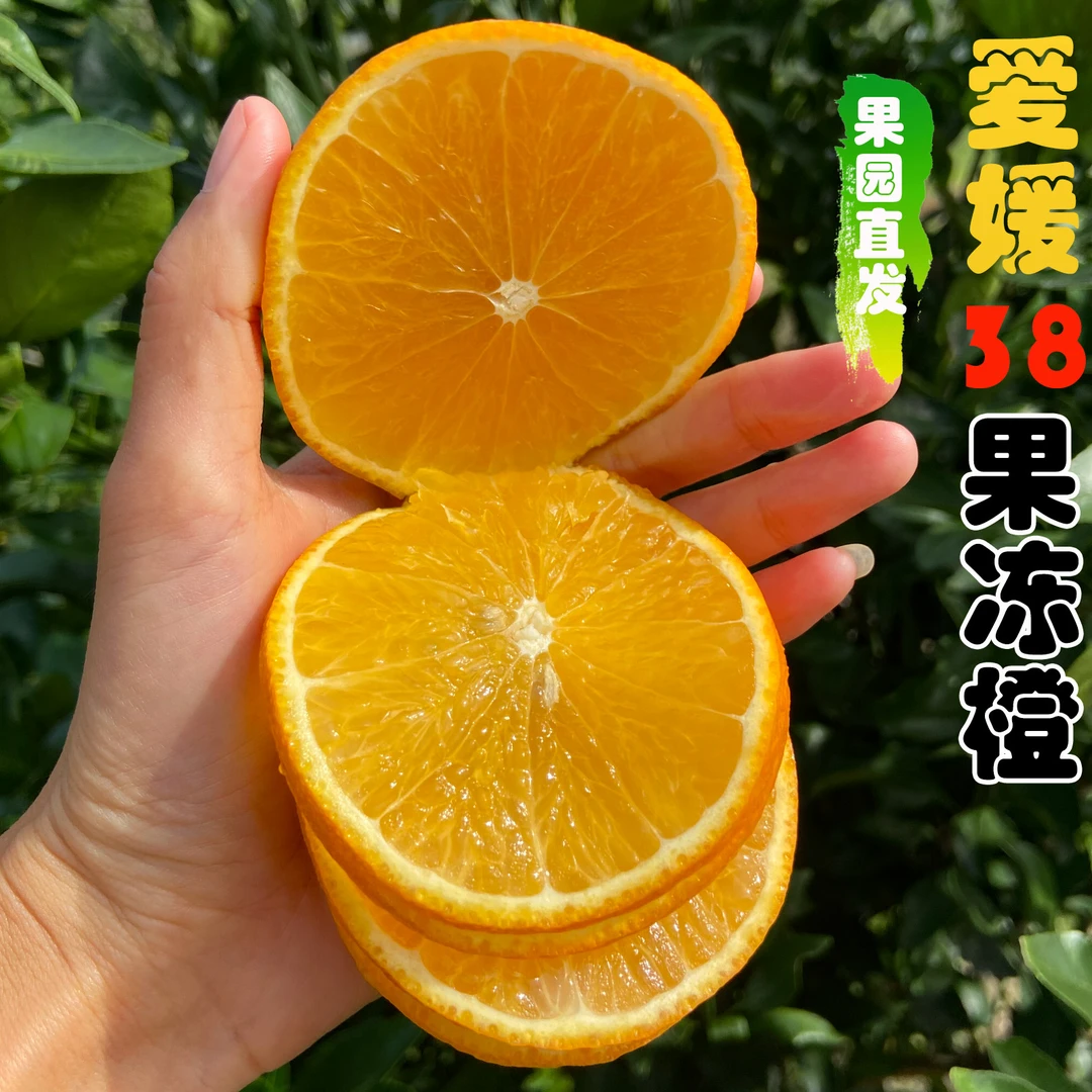 【爱媛38】正宗四川本地爱媛果冻橙整箱批发新鲜水果爱媛橙