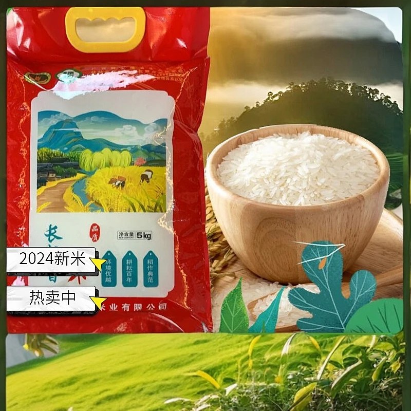 绿杏【绿杏梯田大米】长粒香米产品现磨现发软香颗粒分明2025新米