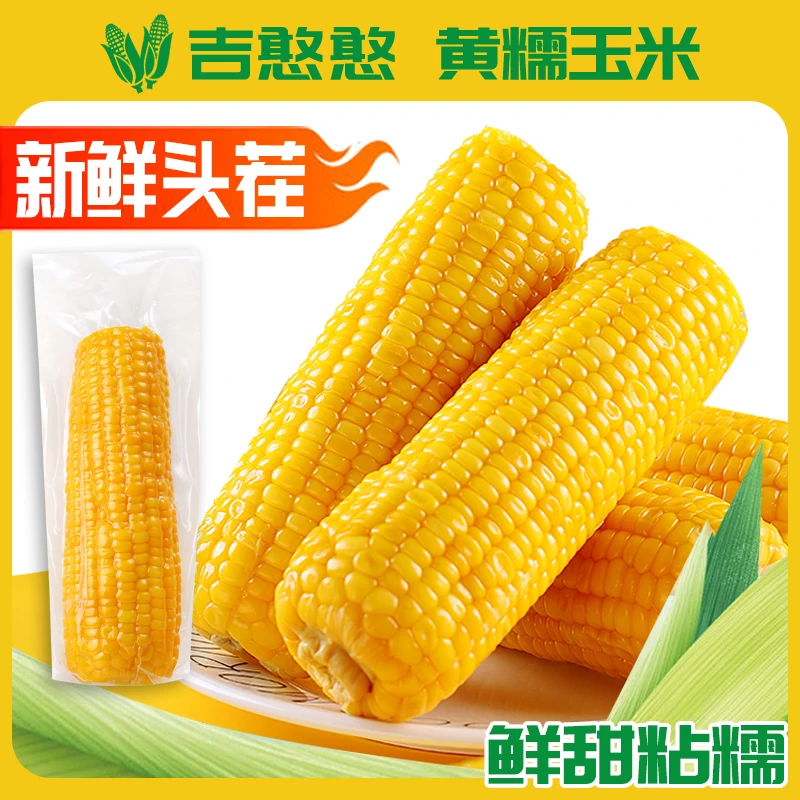 吉憨憨有机黄甜糯玉米10根精品香甜可试吃2根【整箱净重6斤】
