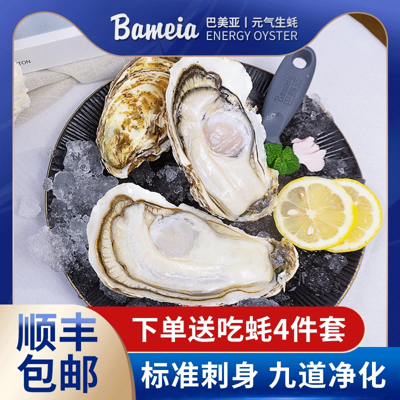 【98%老客回购款】巴美亚精品生蚝刺身级生蚝鲜活海鲜牡蛎生蚝12粒