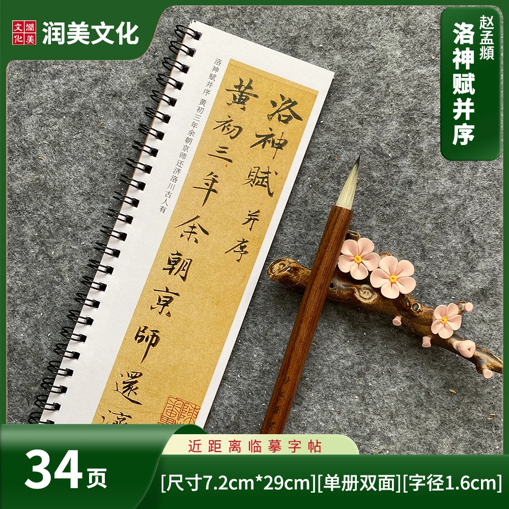 洛神赋并序行书赵孟頫小楷毛笔系列近距离对临字帖卡