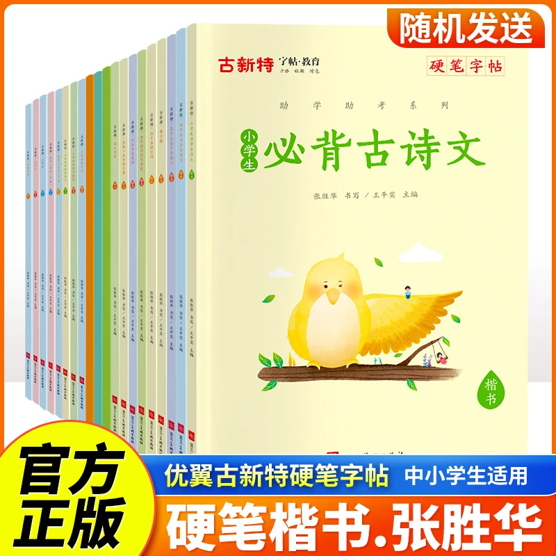 【随机赠品-优翼古新特字帖】小学初中通用描摹练字帖好词好句好段
