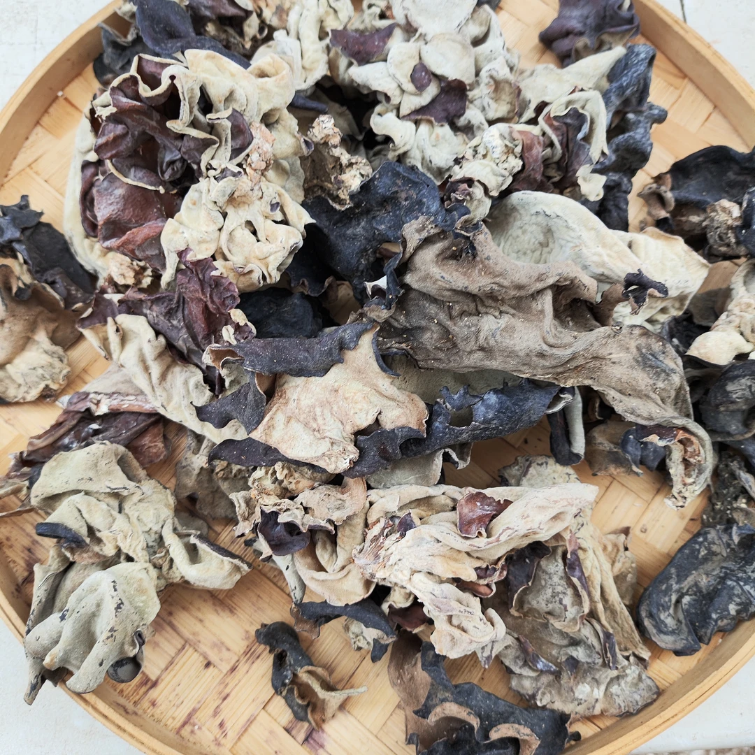 【大木！耳】泡发率高