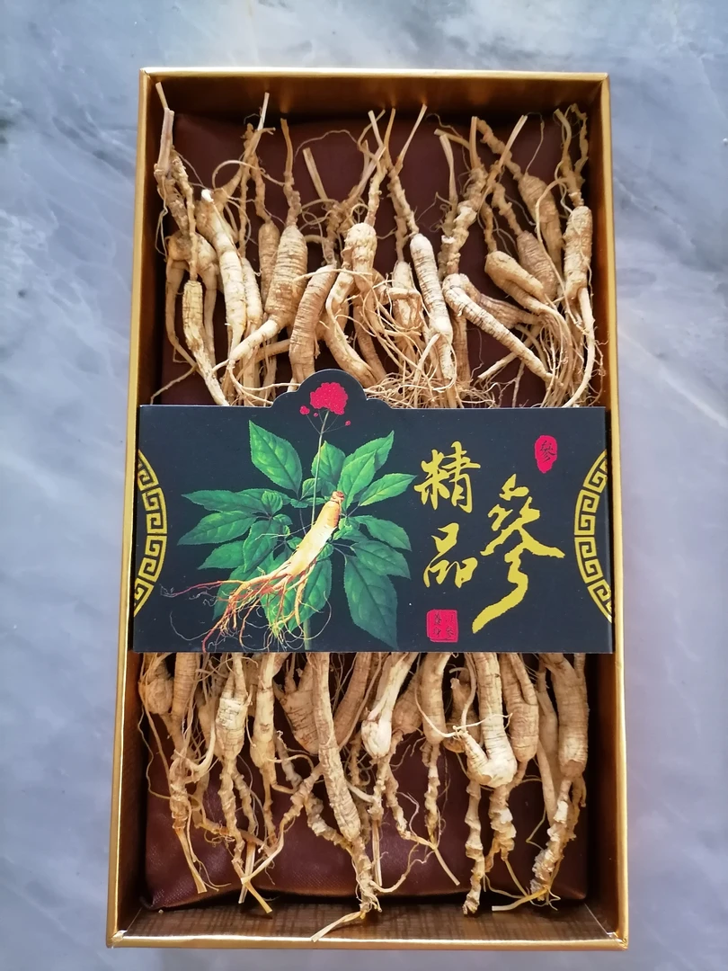 长白山林下老山参