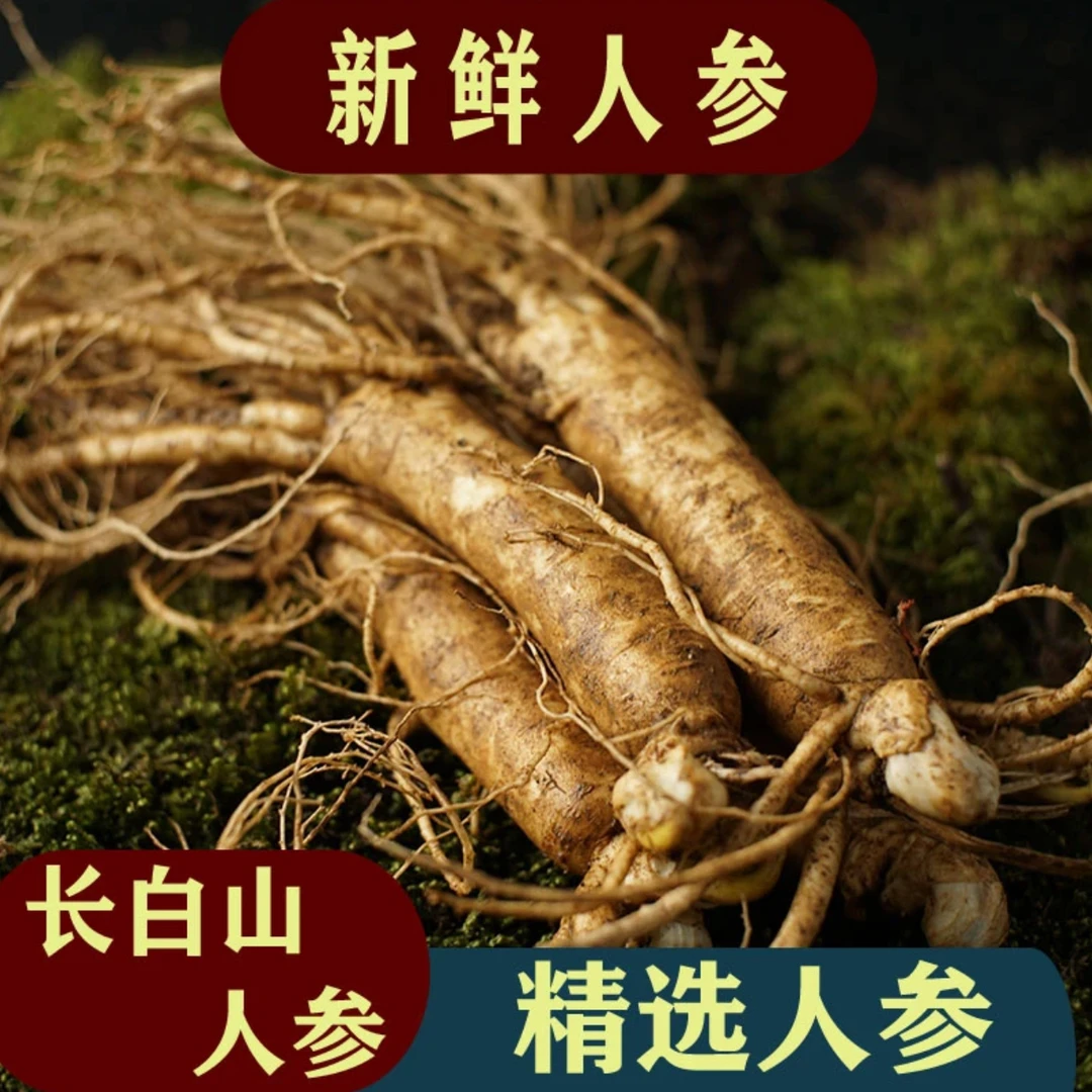 慧长白山现挖带土人参果肉洁白发货冲泡原产地发11g左右单支x20支