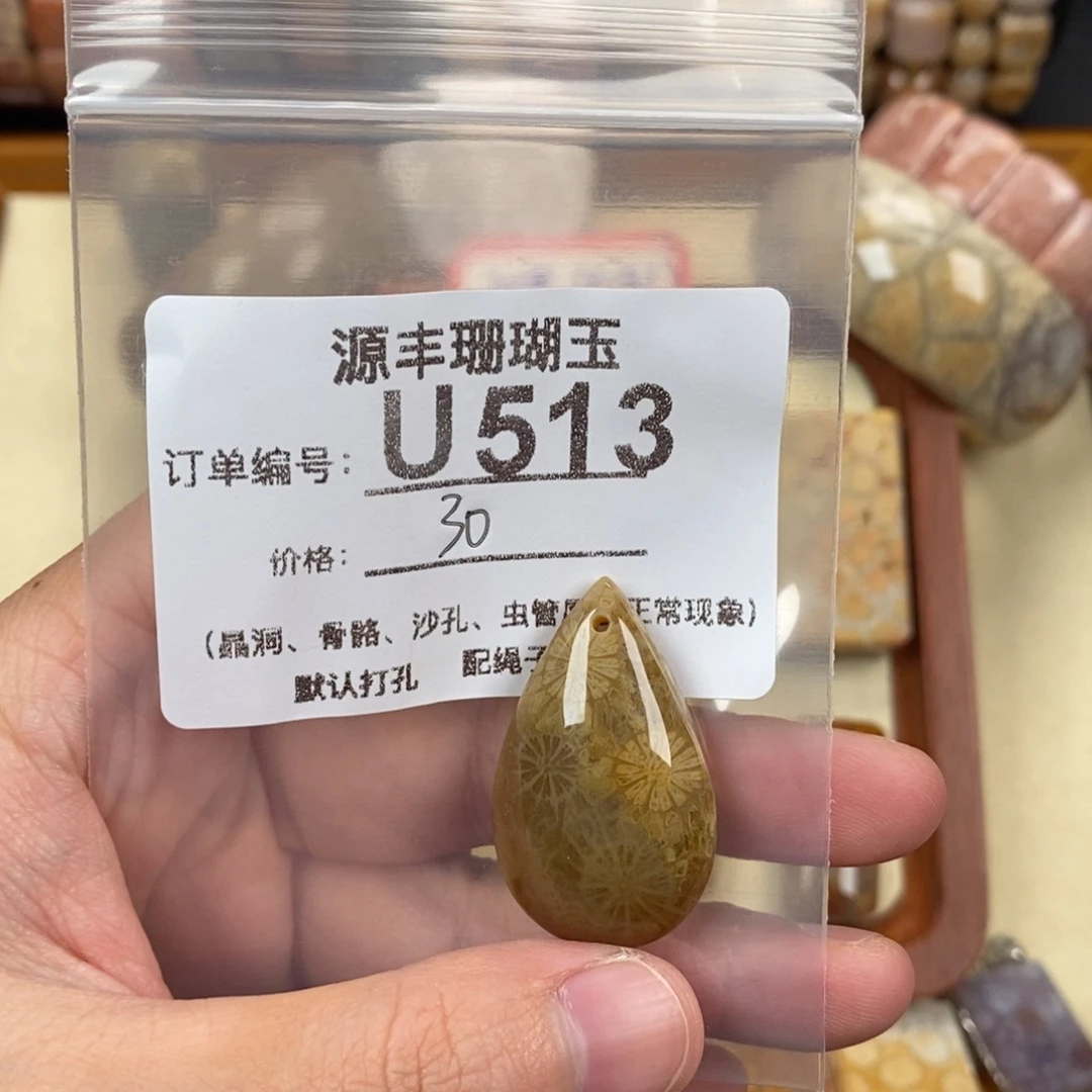 硅化玉颈饰未镶嵌不*