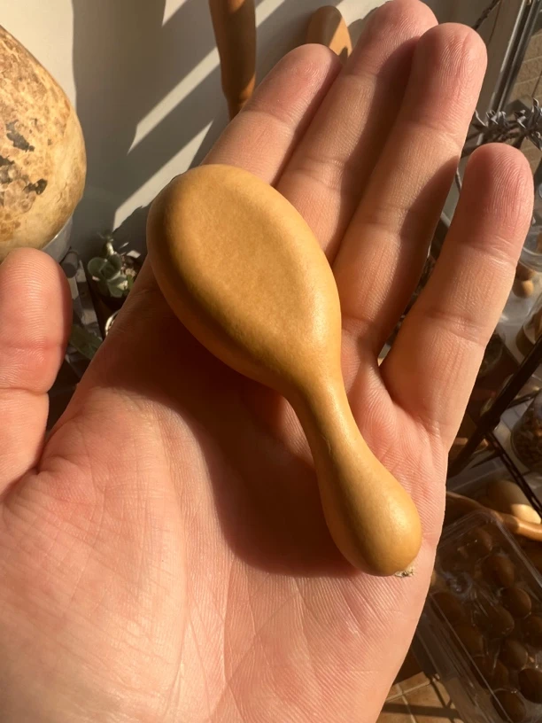 异形鸡腿夹扁葫芦葫芦文玩