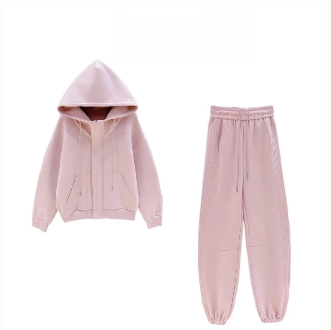 15休闲卫衣套装【大雁南飞】秋冬新款时尚两件套F67157