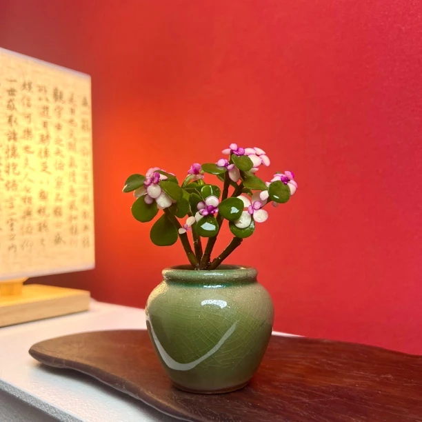 雅乐之舞室内好养精致盆栽金枝玉叶绿植