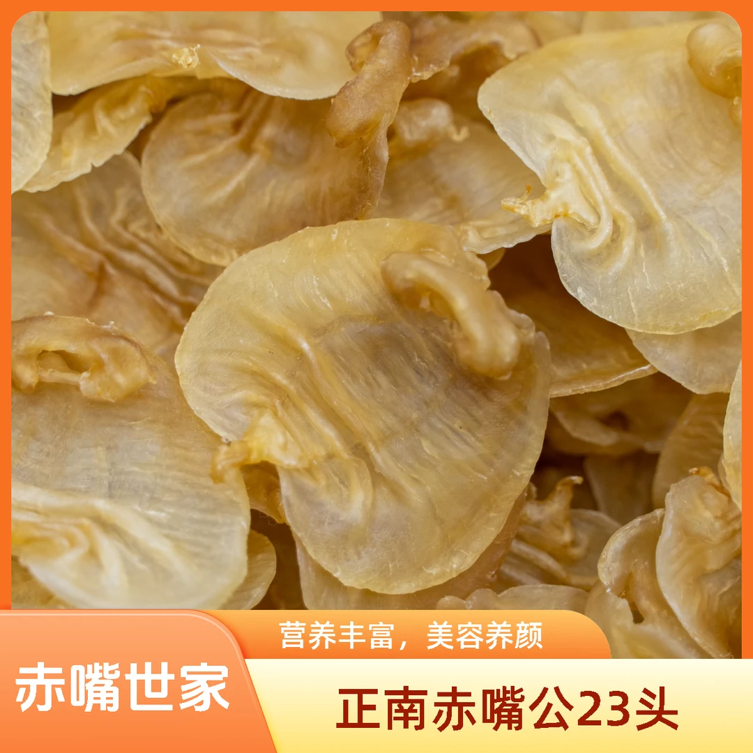 【赤嘴世家】广东鱼胶 正南湛江赤嘴公23头左右