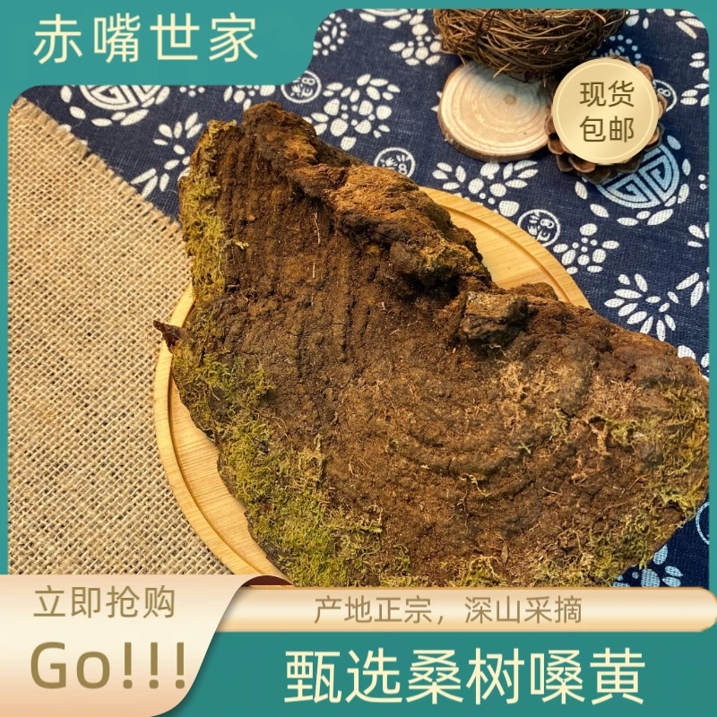 【赤嘴世家】正宗桑树嗓黄西藏煮水