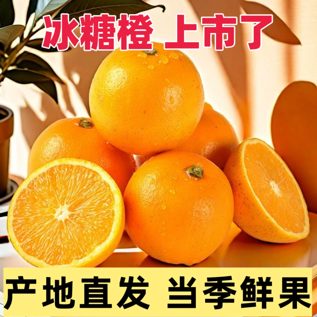 湖南麻阳冰糖橙正宗高山冰糖橙拍3斤送2斤精品果带箱5斤装30-36个