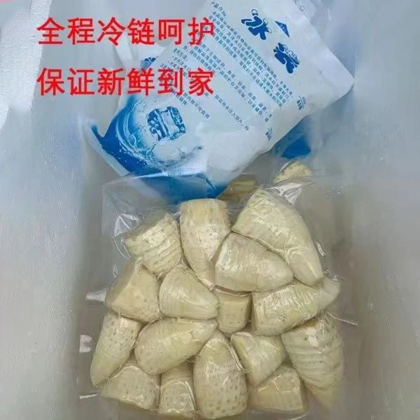 冬笋新鲜现挖野生竹笋当天现剥鲜美冬笋肉1/3斤真空包装包邮发货