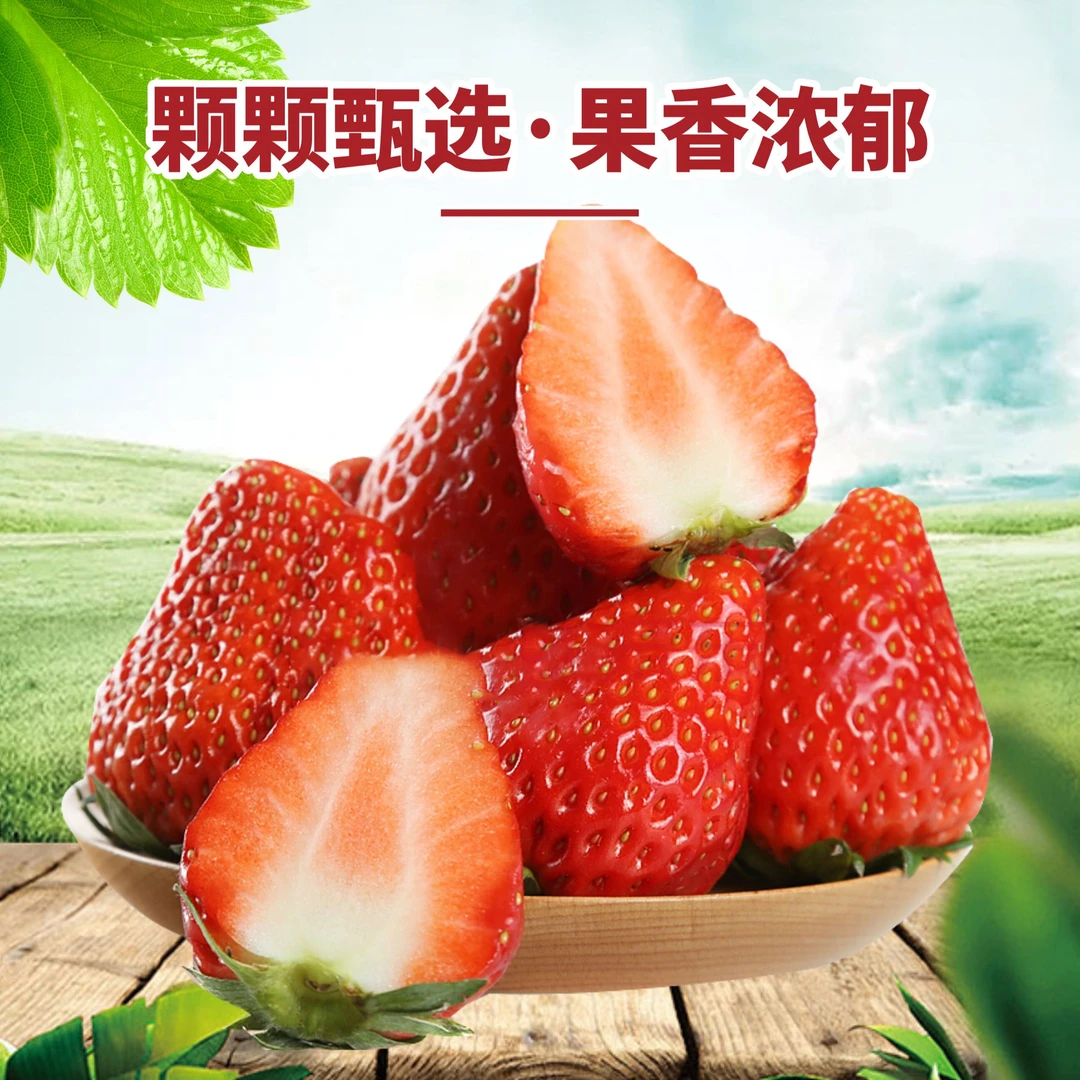 正宗丹东九九红颜奶油草莓香甜饱满草莓专线包邮