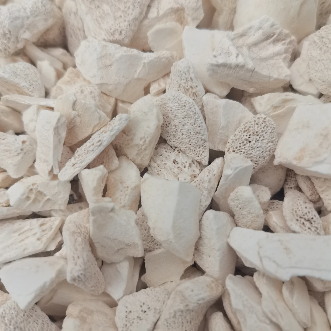 [龙~~骨]云南初级农产品 可搭配 枸杞