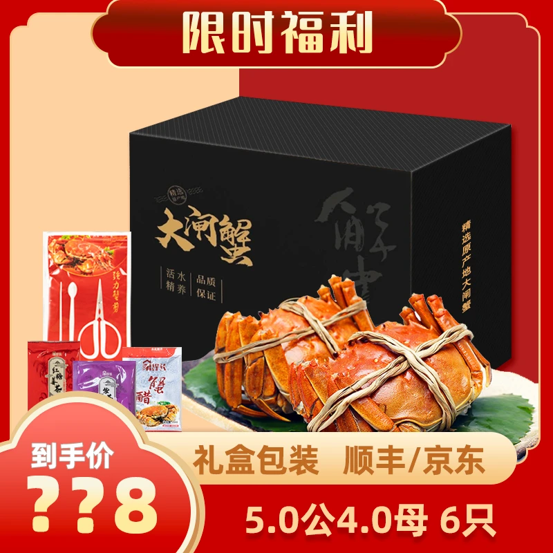 【活蟹】5.0两公+4.0两母3对共6只 精品大闸蟹 礼盒装 顺丰发货