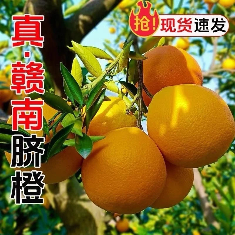 正宗江西赣南脐橙橙子赣州薄皮整箱当季新鲜水果白家果园净重5斤