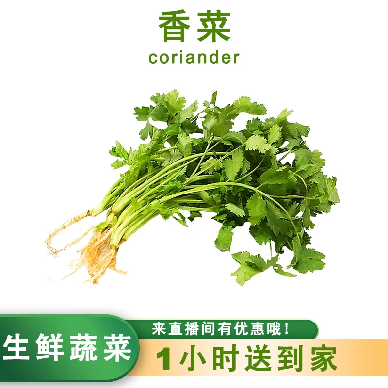 香菜100g±10g