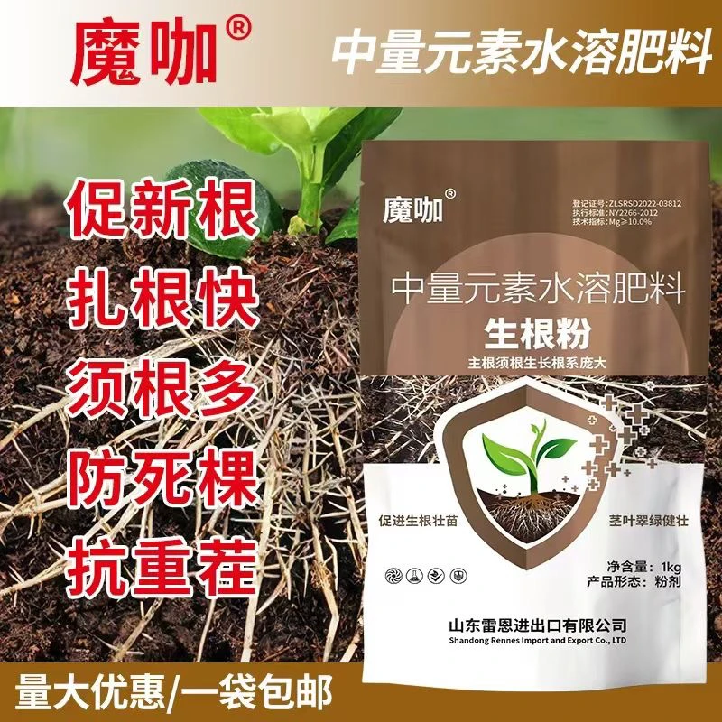 爆款生根粉，生生根粉主根侧根根系庞大茎叶翠绿健壮