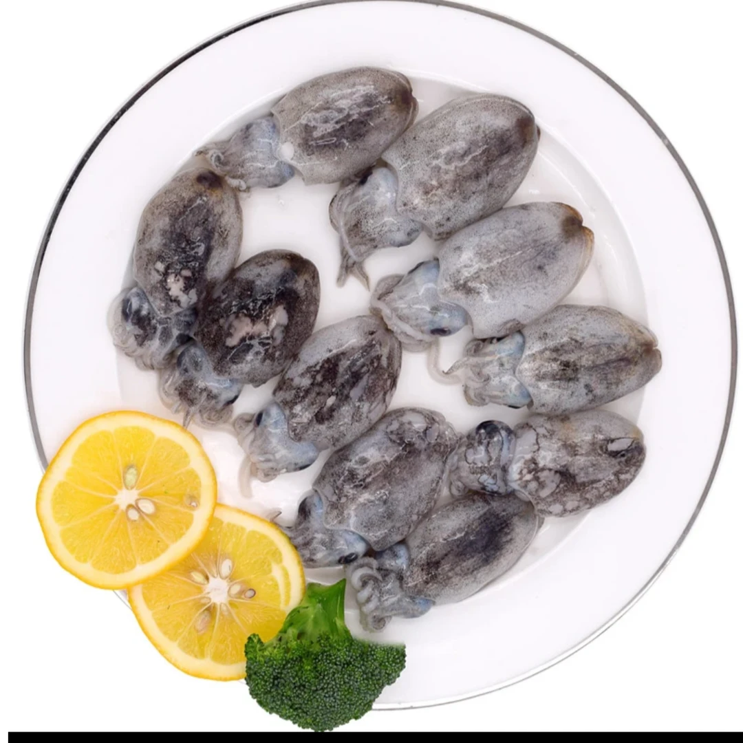 东海热气墨鱼 一斤3-4只~ 拍三斤送一斤~到手4斤 冰鲜发货