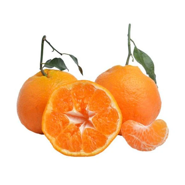 四川春见耙耙柑（900克装）(900g)