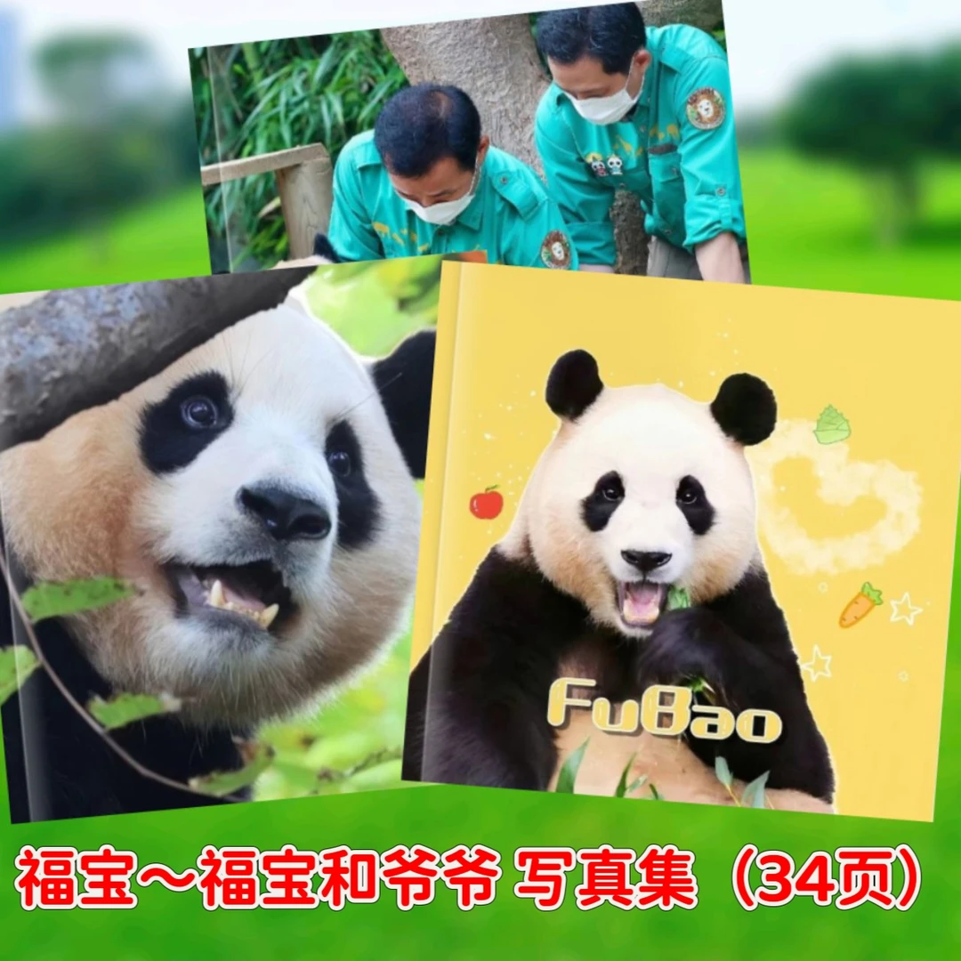 大熊猫福宝相册写真集大明星福宝和爷爷照片纪念珍藏版纪念册