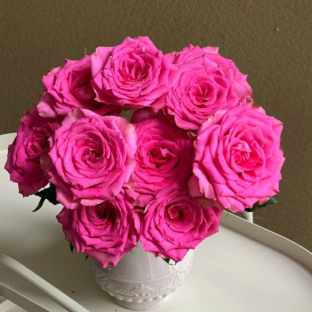 天王【星辰花园 】1加仑/3升盆月季修剪养护开花下单发货挑选到货