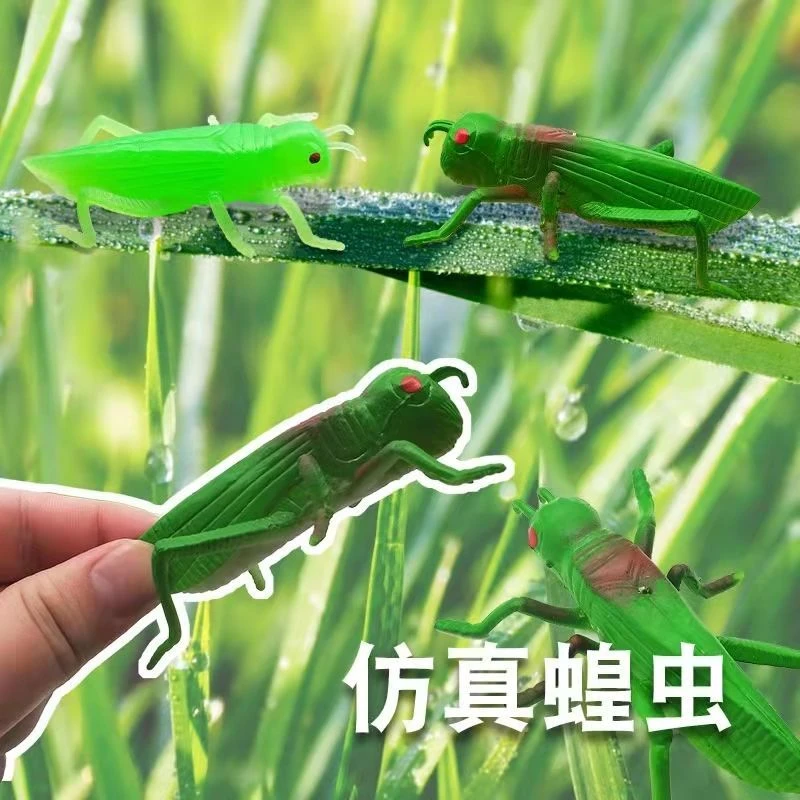 仿真蚂蚱玩具软胶昆虫动物模型彩色大号蝗虫儿童早教认知礼物蚱蜢