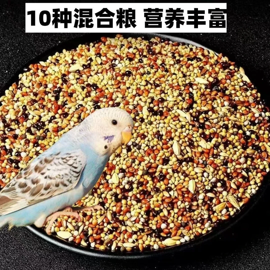 鹦鹉鸟粮混合鸟粮