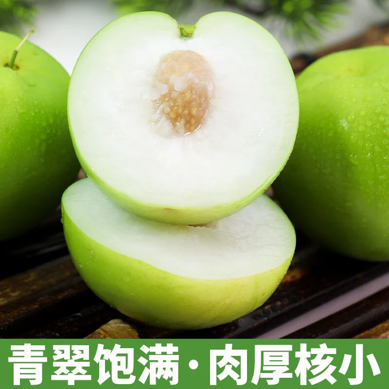 【现摘现发】福建牛奶大青枣蜜丝枣果园新鲜水果枣子大果爽口3/5斤
