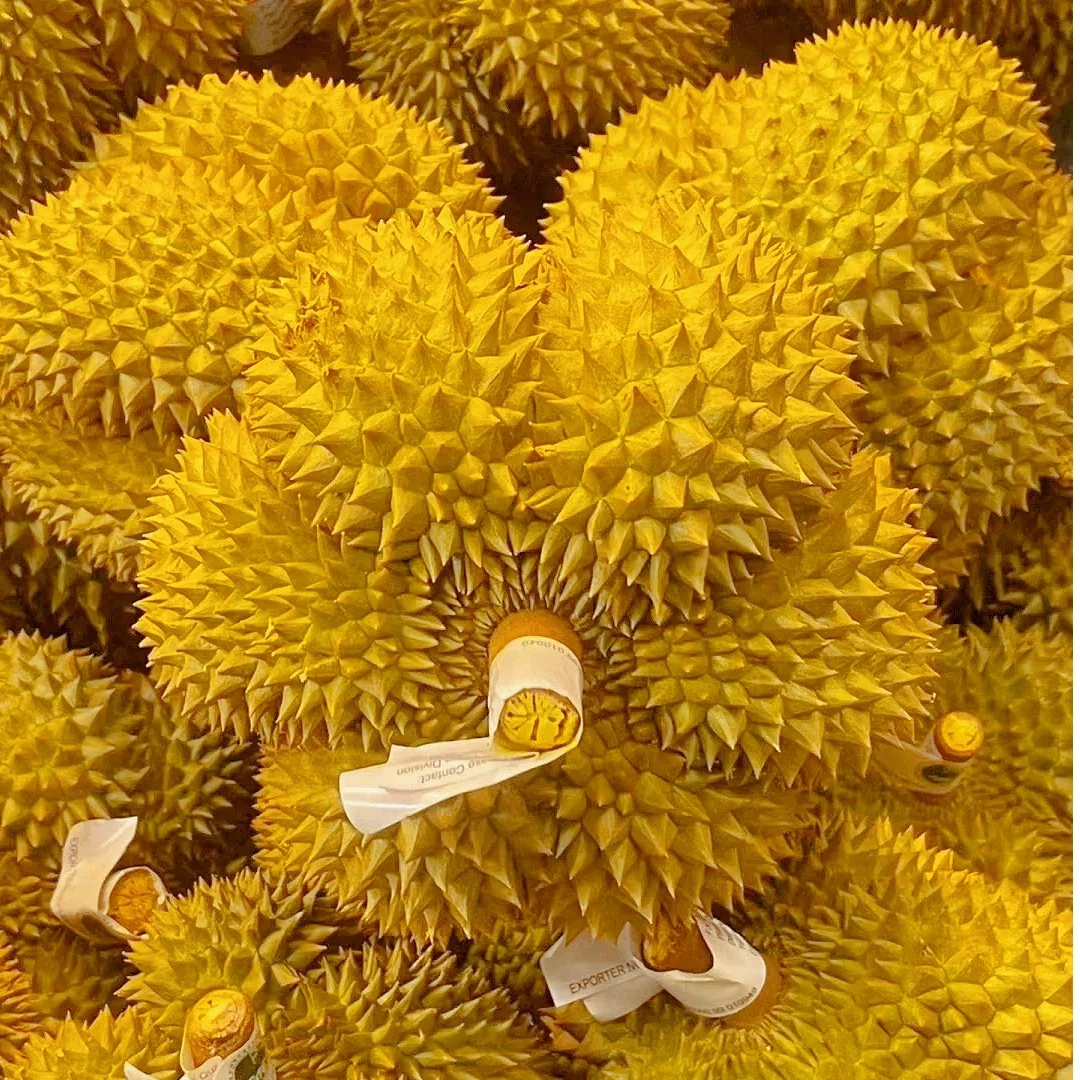 【福利】福利果不售后
