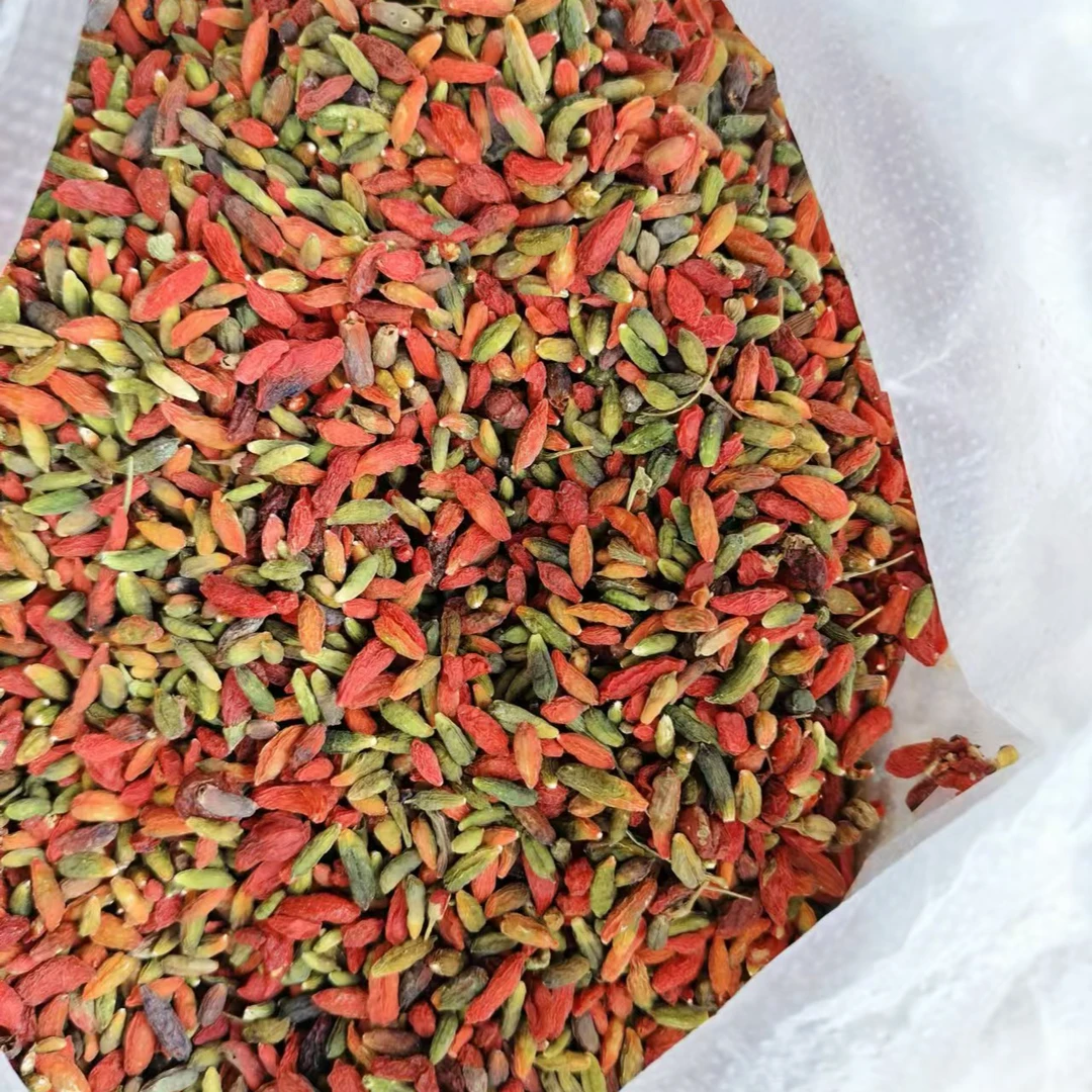 边城精选----七彩枸杞