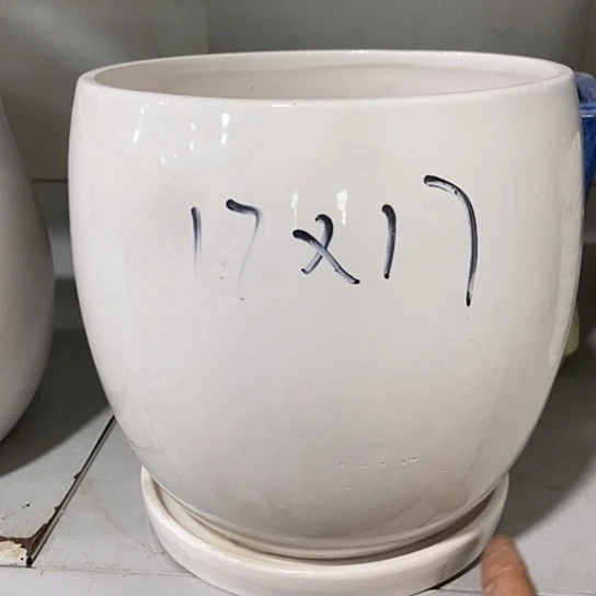 红陶20CM(含)-50CM(不含)
