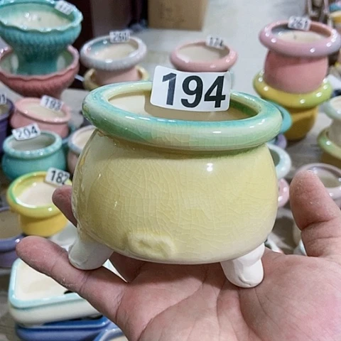 红陶订单凑满12包邮