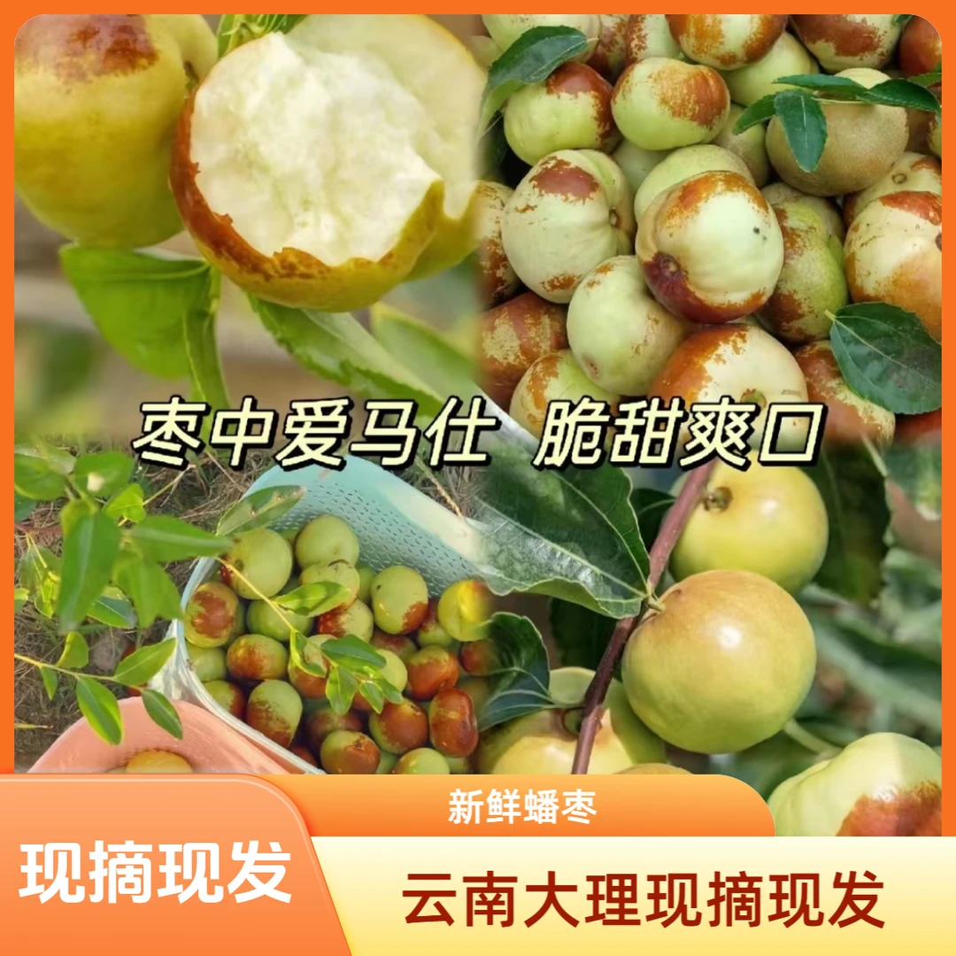 【生鲜专线】云南大理现摘现发直供新鲜蜜枣脆甜可口大果扁圆蟠桃枣