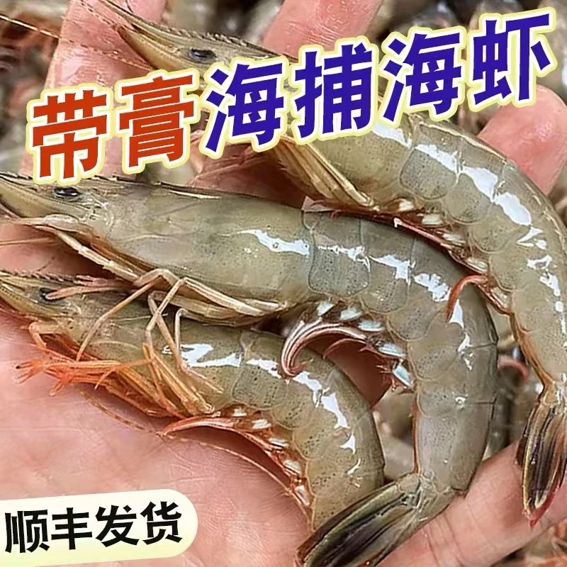《东海优品》台州东海中号剑虾滑皮虾