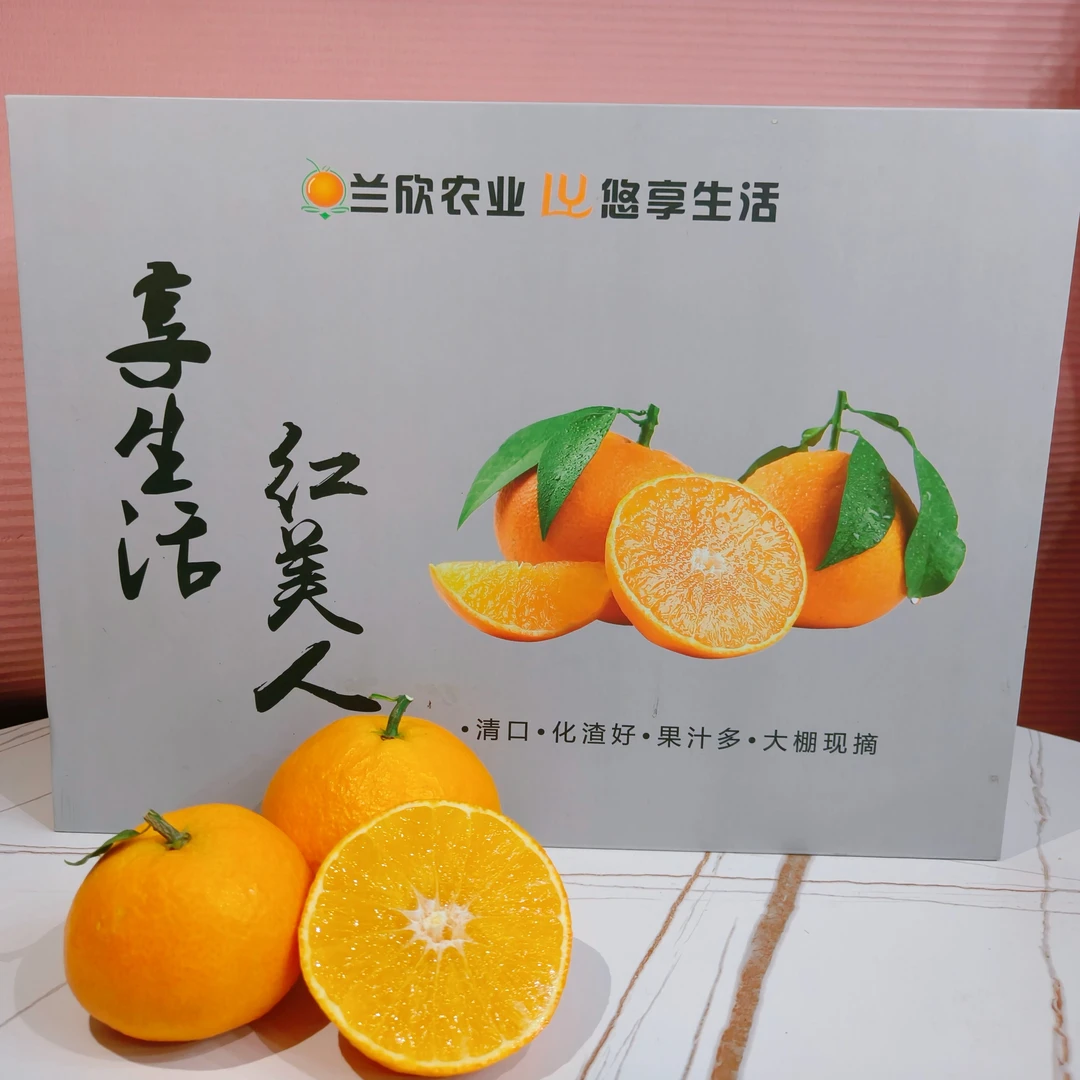 红美人柑橘（礼盒家庭装）