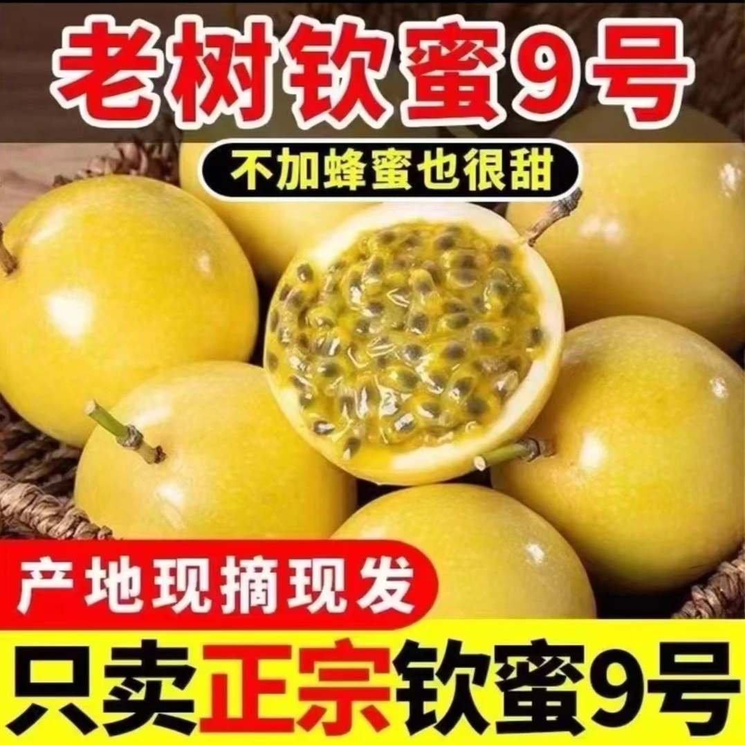 【坏果包赔】广西钦蜜九号黄金百香果4斤装 香甜营养多汁口感