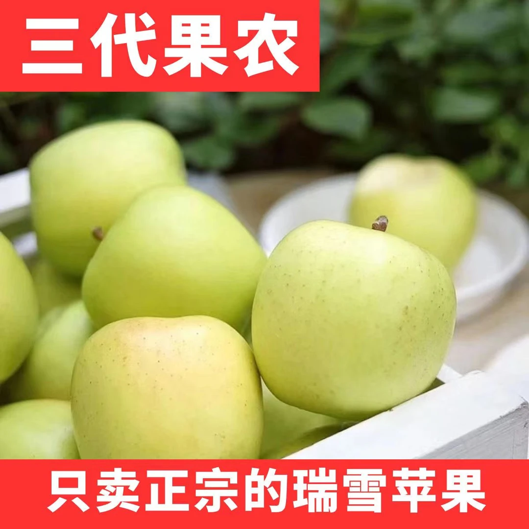｛瑞雪苹果｝甘肃庆阳瑞雪苹果香甜可口水果适合送礼送人的选择