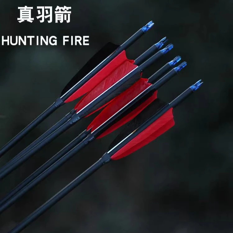 真羽混碳箭   反曲弓 体育比赛