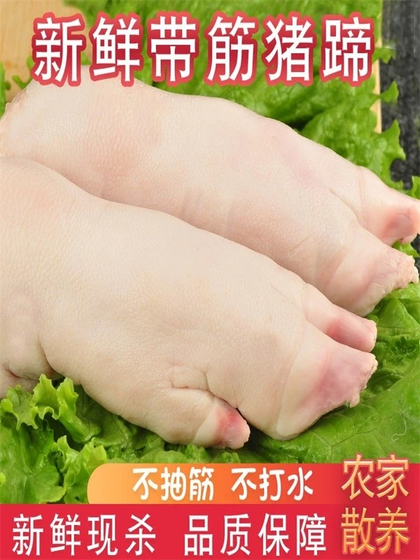 新鲜粮食土猪 带筋猪蹄 鲜猪蹄 农家散养 包邮