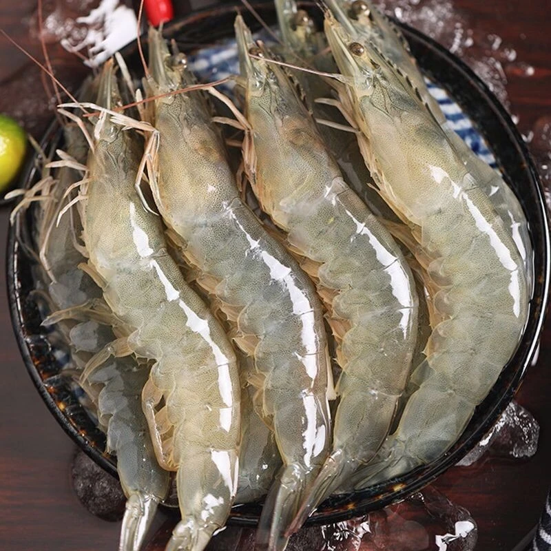 新鲜大大号海明虾到手5斤 50到70只