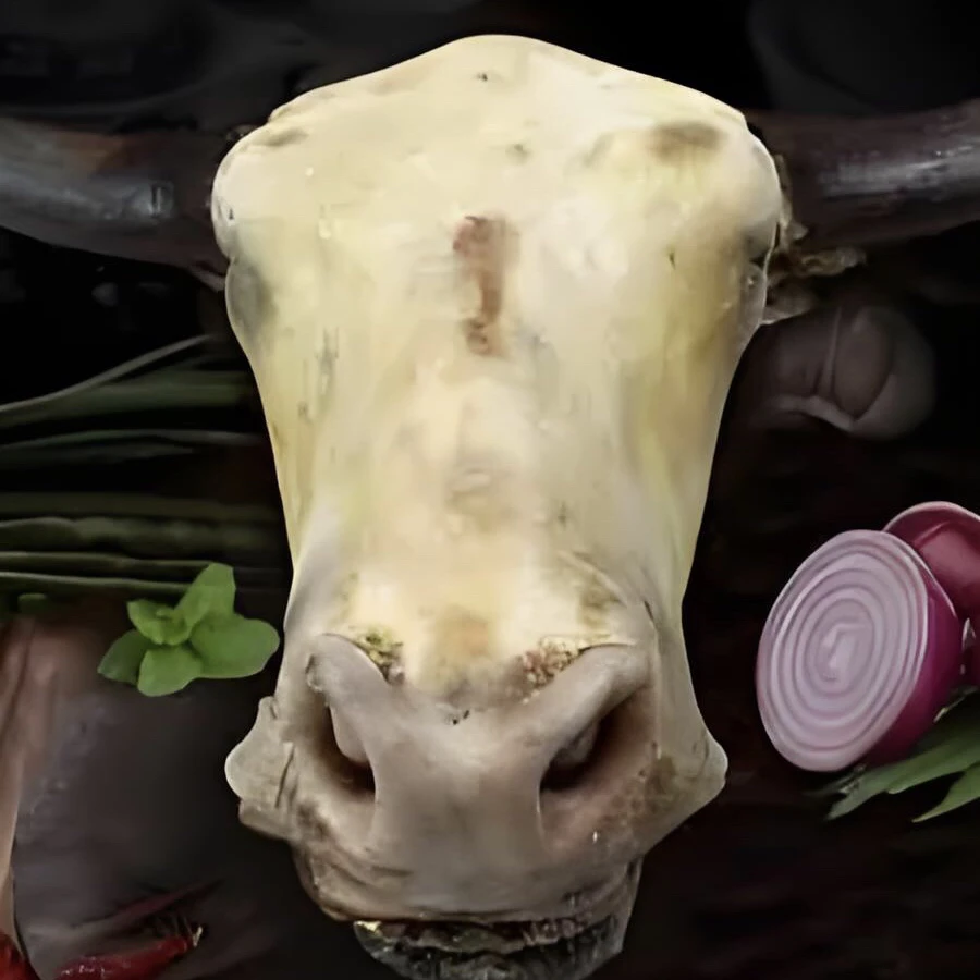 牛头肉一阿坝高原散养牦牛4一6年