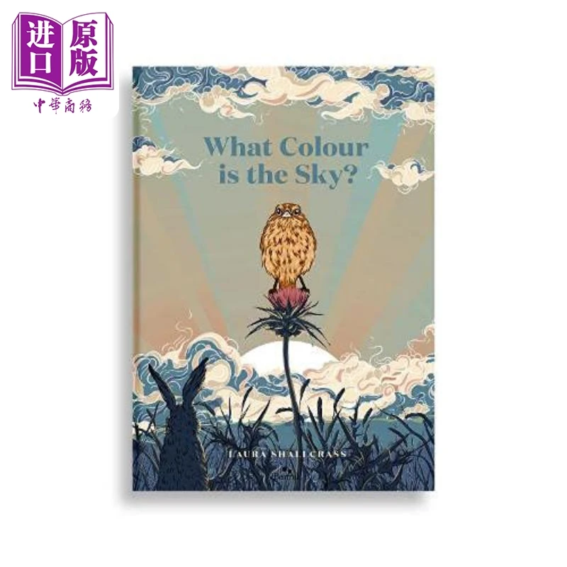 【中商】天空是什么颜色的 英文原版 精装 儿童图画书 Laura