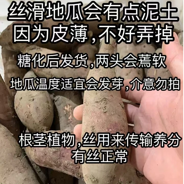 【京东】丝滑（榴莲蜜薯）地瓜  净重4.9斤 破皮 发芽 轻微断裂正常