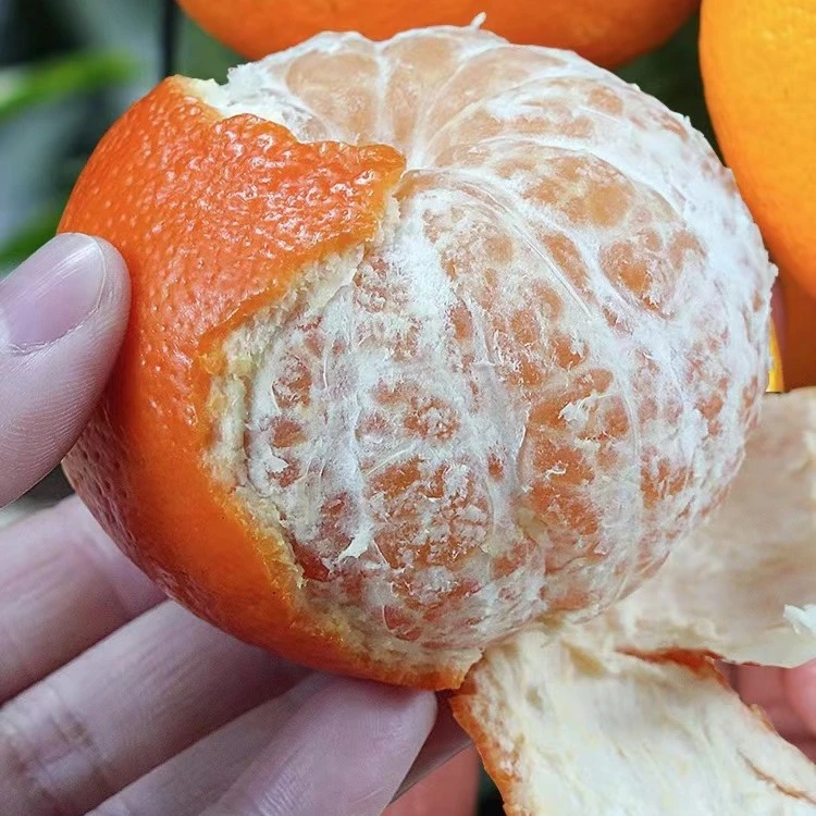 【中通】广西武鸣沃柑 酸甜可口 有籽 净重五斤  个头很小介意勿拍